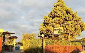 Camellia Court